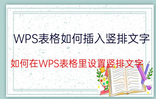 WPS表格如何插入竖排文字 如何在WPS表格里设置竖排文字？